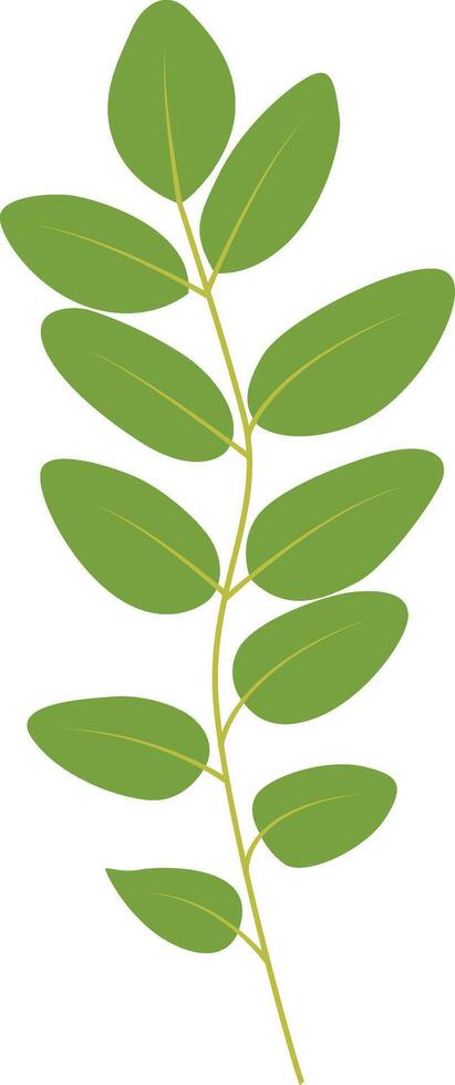 Exotic Green Tropical Leaves in Cartoon Design. vector