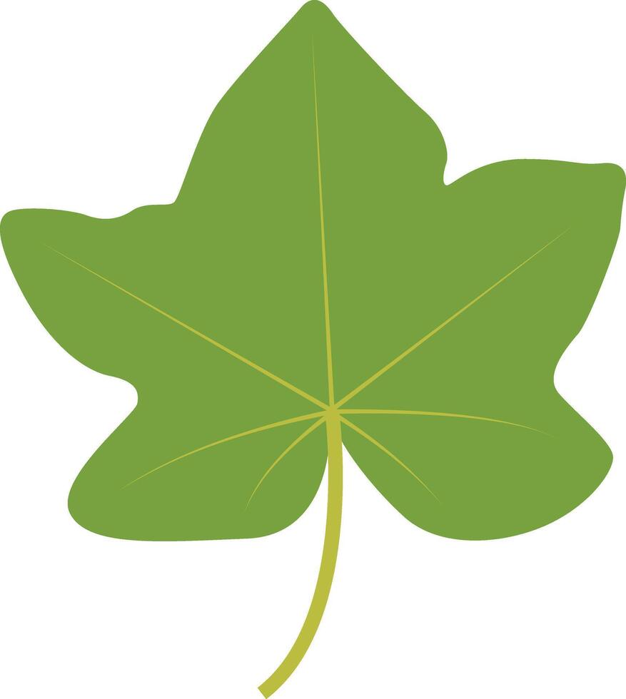 Exotic Green Tropical Leaves on White Background vector