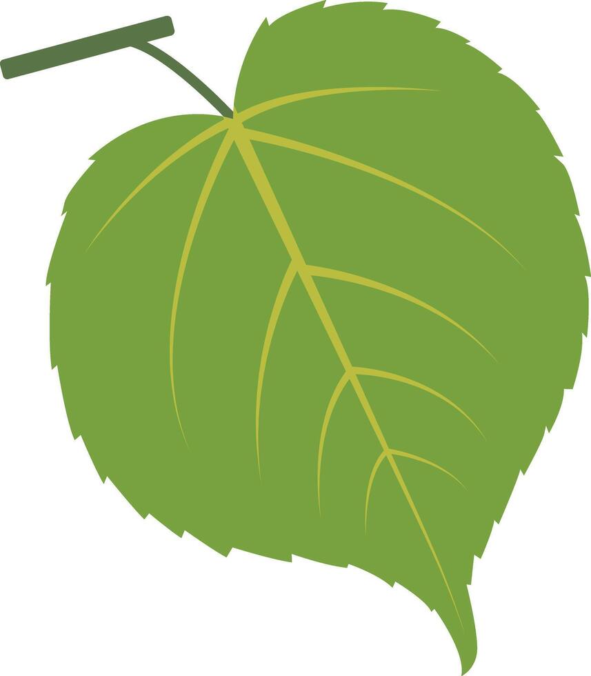 Exotic Green Tropical Leaves Illustration in Flat Design vector