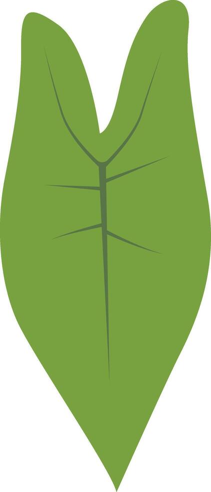 Exotic Green Tropical Leaves with Cartoon Design vector
