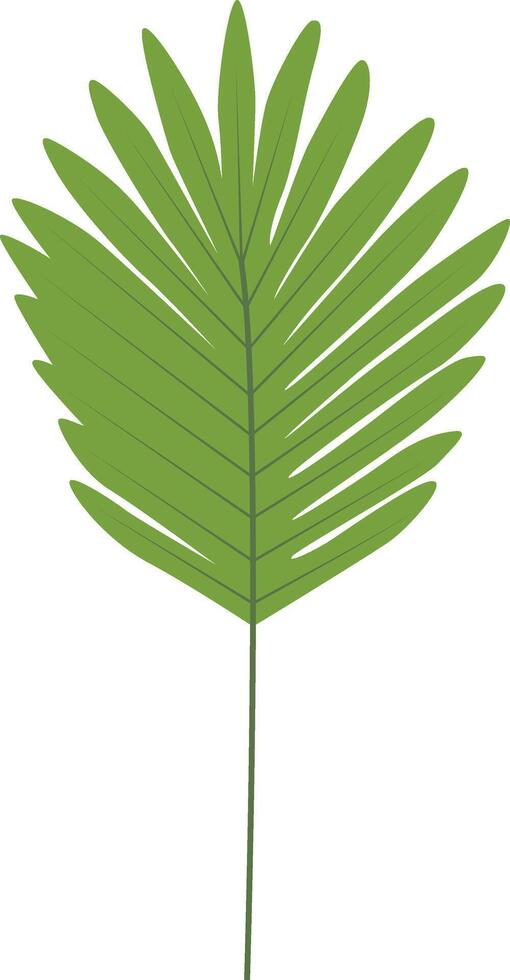 Exotic Green Tropical Leaves with Flat Cartoon Design vector