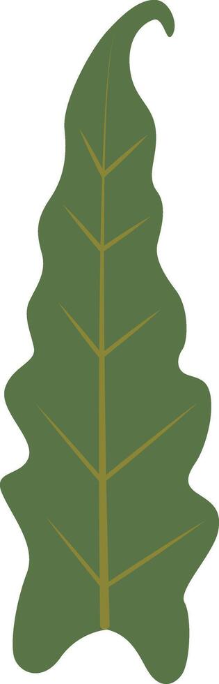 Exotic Green Tropical Leaves on White Background. vector