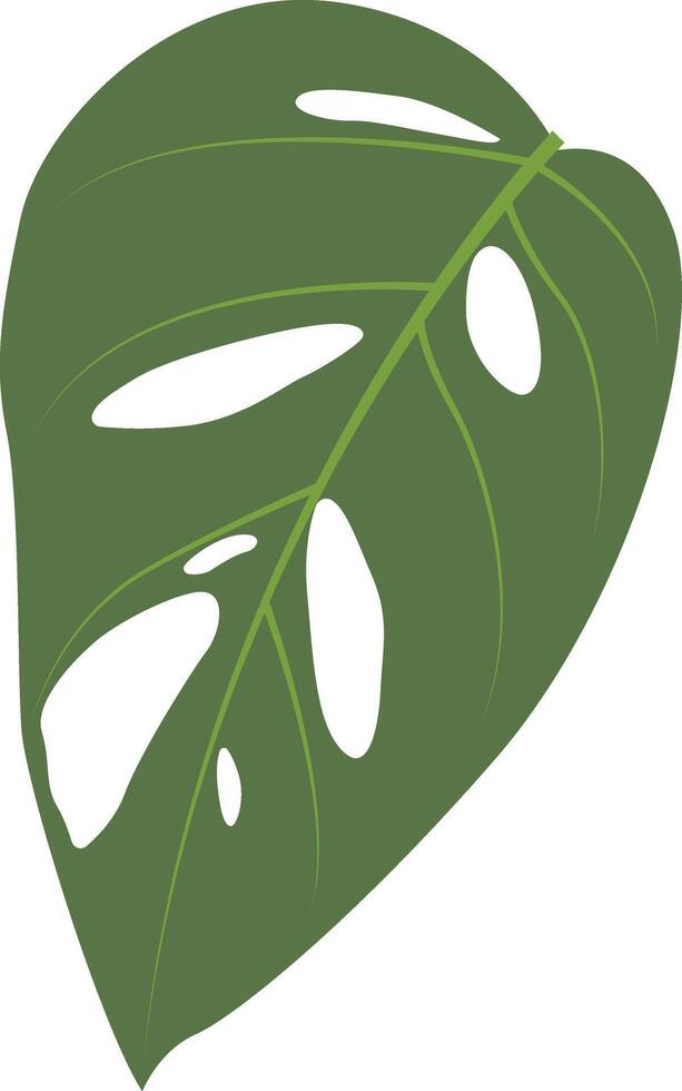 Exotic Green Tropical Leaves in Flat Design vector