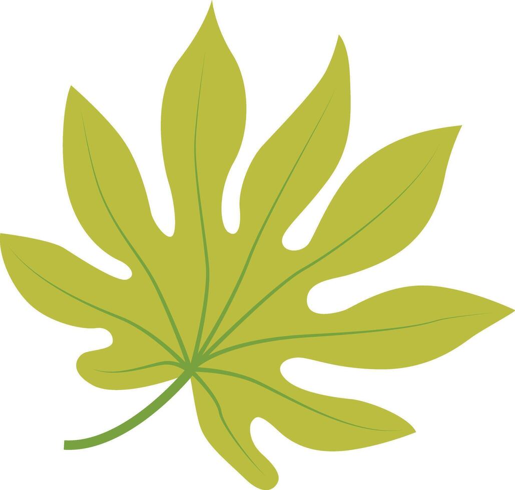 Exotic Green Tropical Leaves Illustration with Cartoon Design. vector
