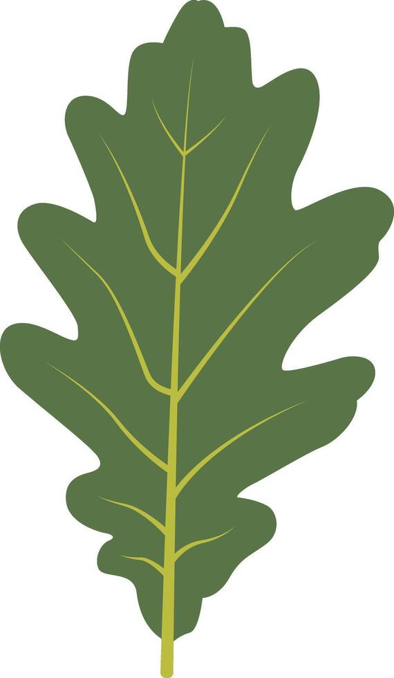 Exotic Green Tropical Leaves Illustration Isolated on White Background vector
