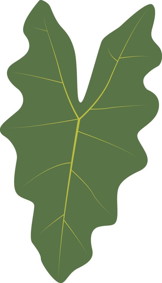 Exotic Green Tropical Leaves Illustration with Cartoon Design vector