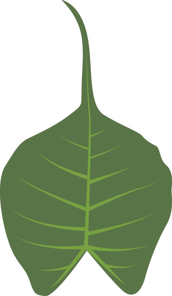 Exotic Green Tropical Leaves in Cartoon Design vector