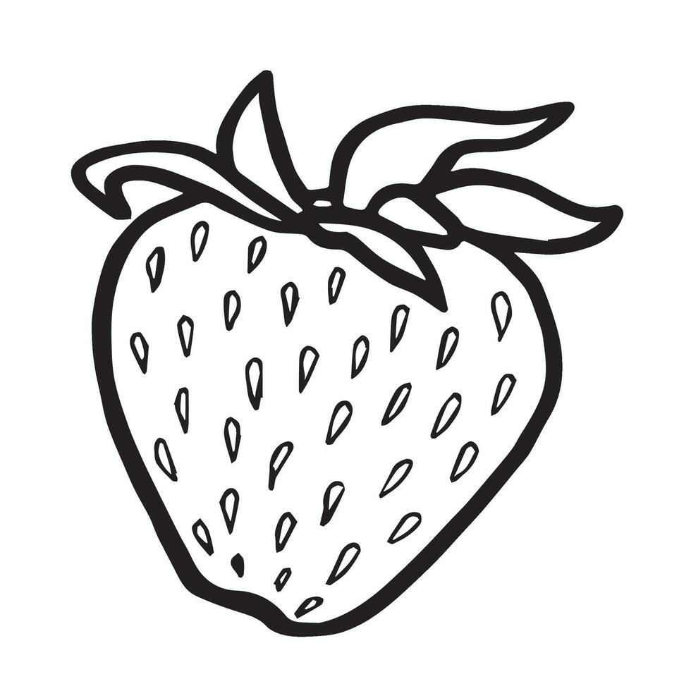 Strawberry isolated illustration for food desing. Fresh garden berries black and white sketch, organic healthy food. Summer fruit in line art style for cosmetic and textile. vector