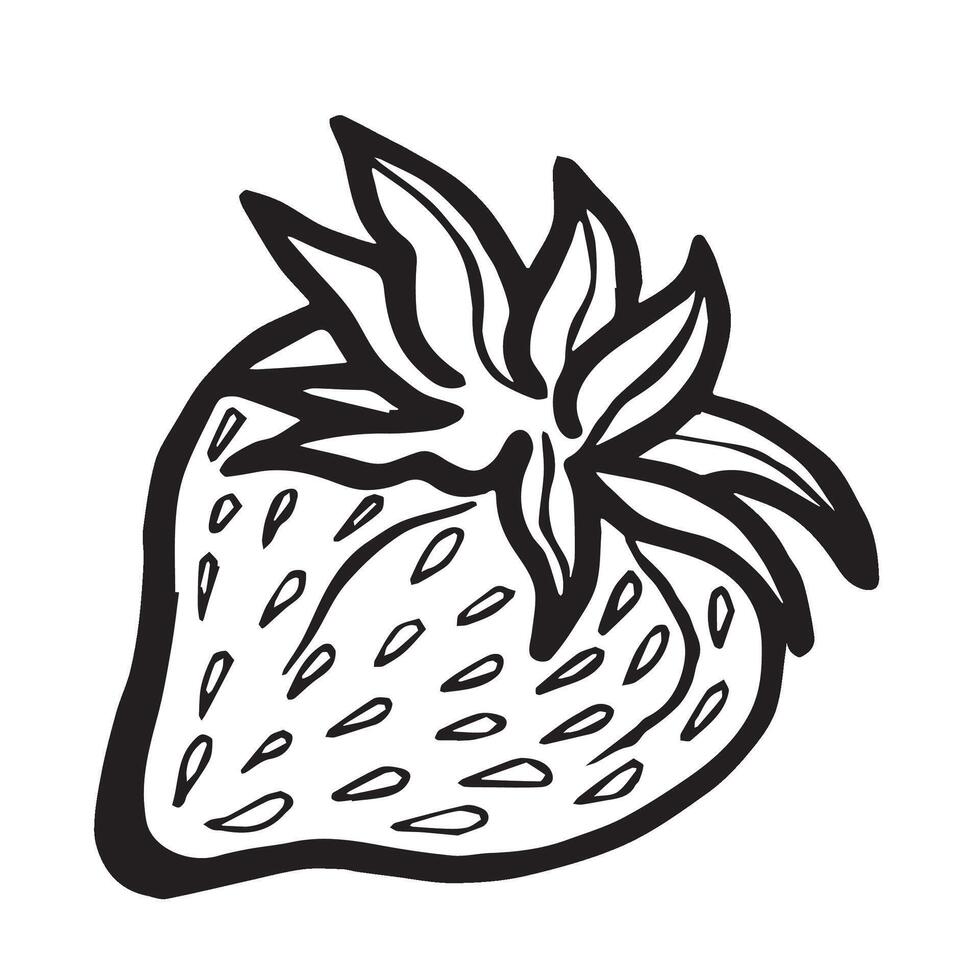 Strawberry isolated illustration for food product desings. Fresh garden berries black and white sketch, organic healthy food. Summer fruit in line art style for cosmetic and textile. vector
