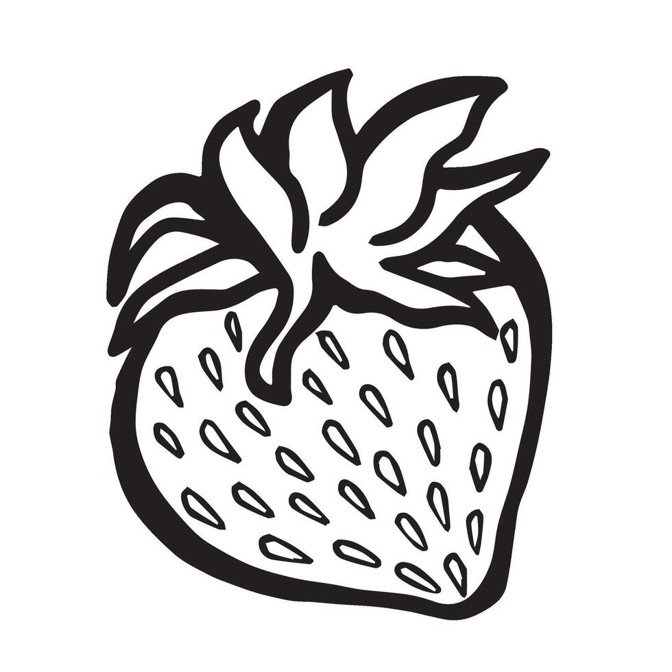 Strawberry hand drawn isolated illustration for food product desing. Berries black and white sketch, organic healthy food. Summer fruit in line art style for cosmetic and textile. vector