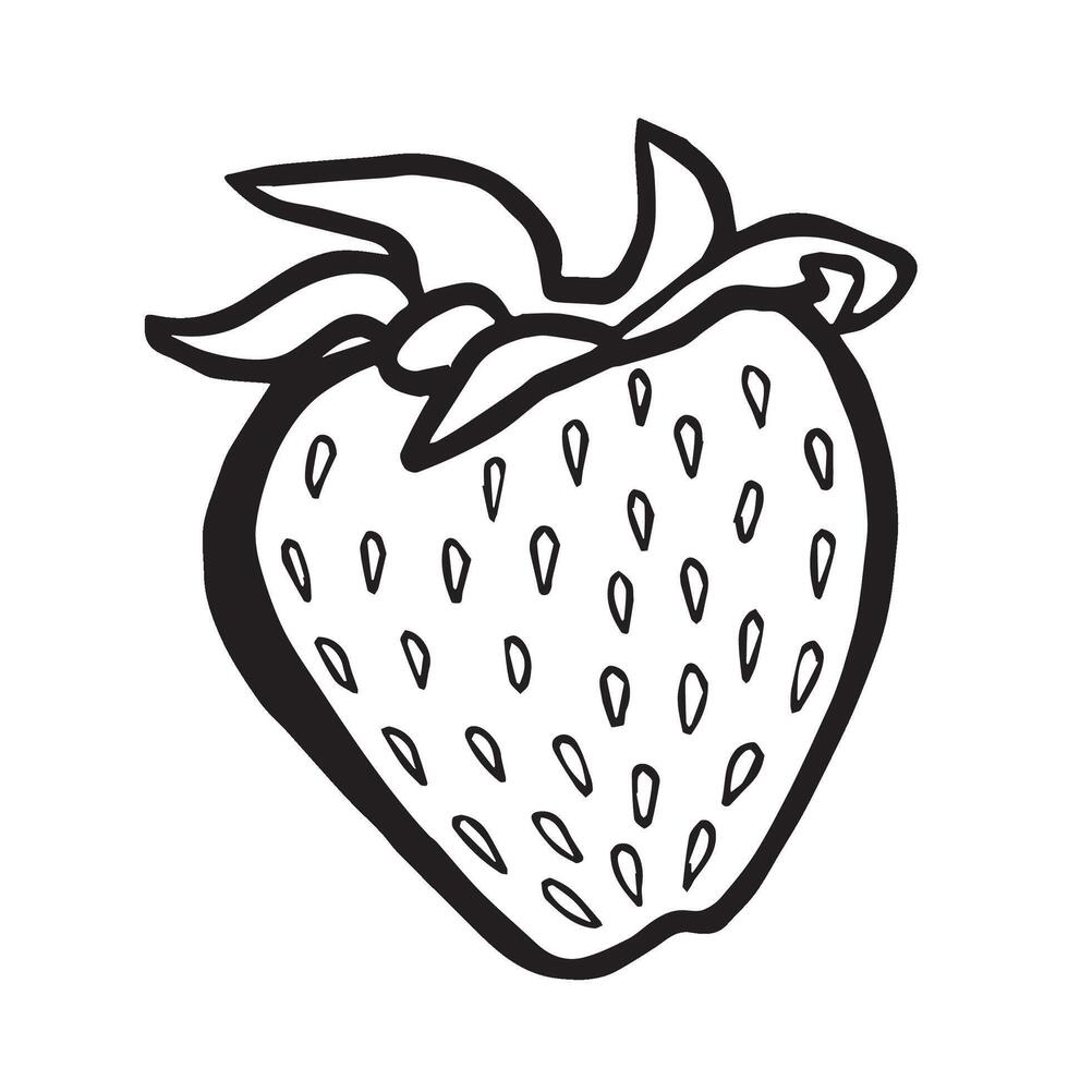 Strawberry hand drawn isolated illustration for food product desing. Fresh garden berry black and white sketch, healthy food. Summer fruit in line art style for cosmetic and textile. vector