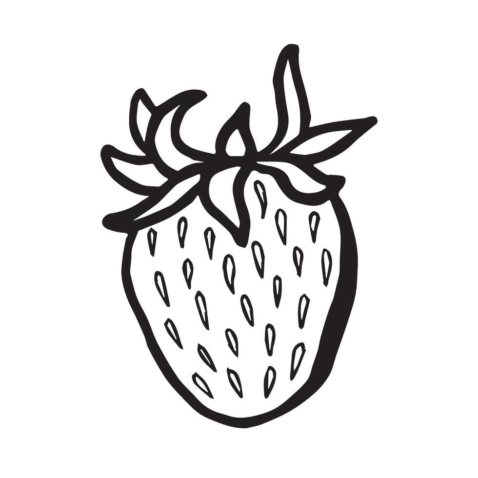 Hand drawn strawberry isolated illustration for food product desings. Fresh garden berries black and white sketch, organic healthy food. Summer fruit in line art style for cosmetic and textile. vector
