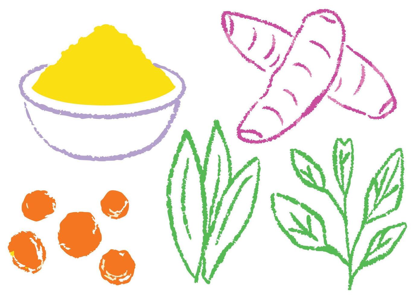 A colorful drawing set of leaves , ginger vector