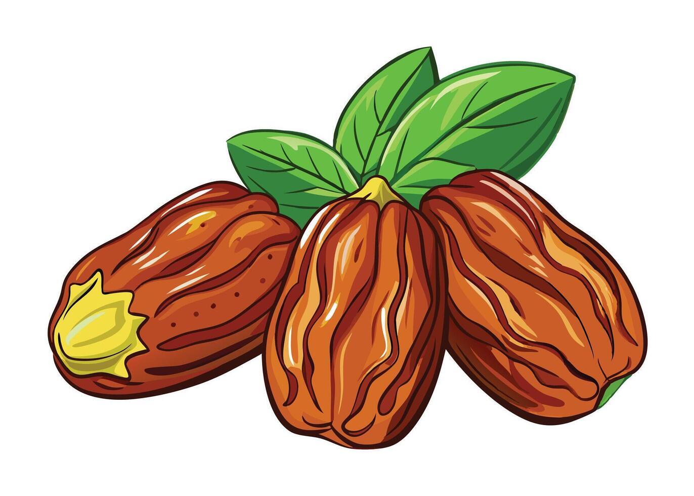 Healthy dried fruits vector