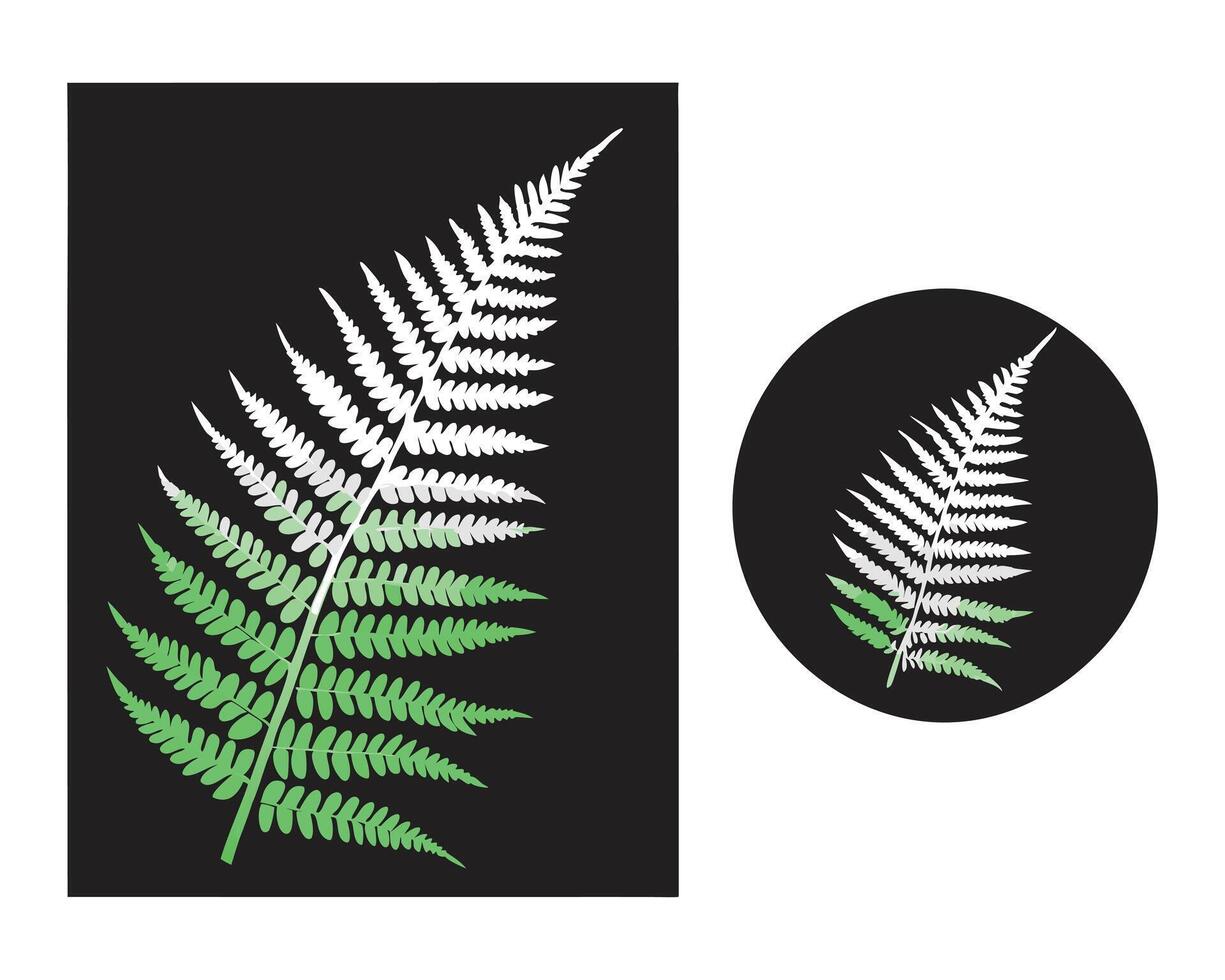 Fern leaf isolated on white, a natural plant illustration for design and decoration vector