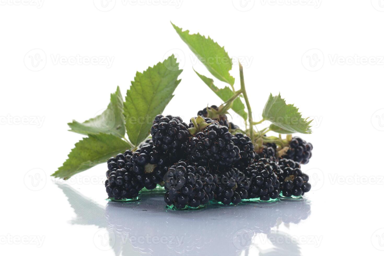 Black blackberries with greenery and a white background photo