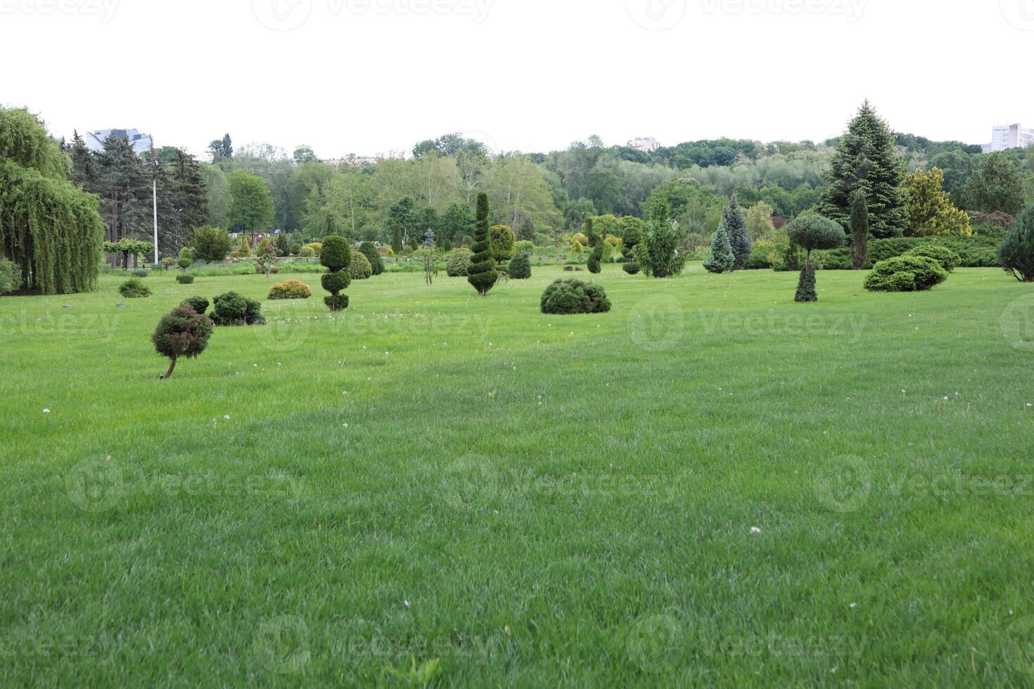 A beautifully lush green landscape filled with sculpted shrubs, trees, and flora all around photo