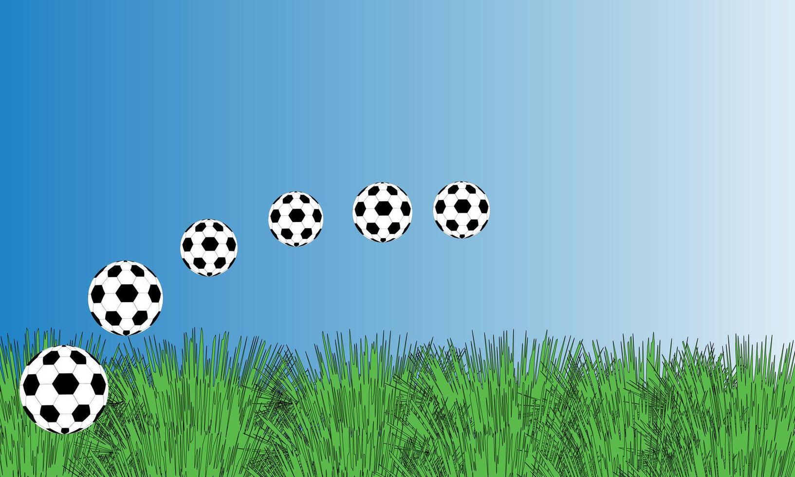 soccer balls on green grass vector
