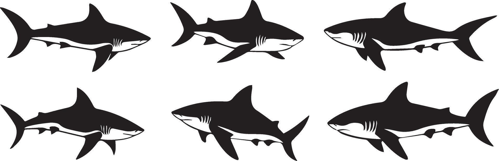 Powerful Shark Silhouettes Six Striking Illustrations vector