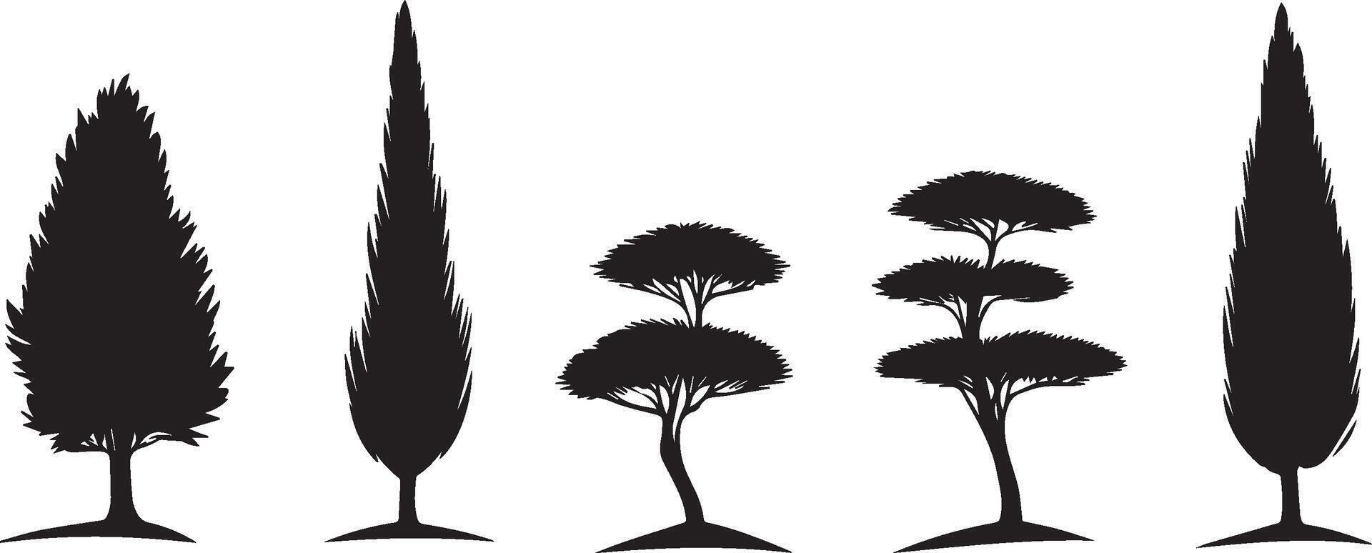 Cypress Pine Tree Silhouettes Graphics for Design Projects vector