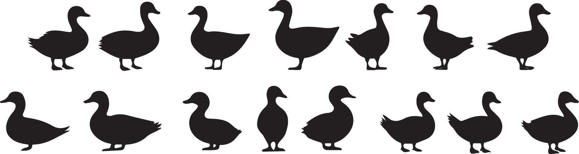 Collection of Duck Silhouettes Versatile Graphics for Design Projects vector