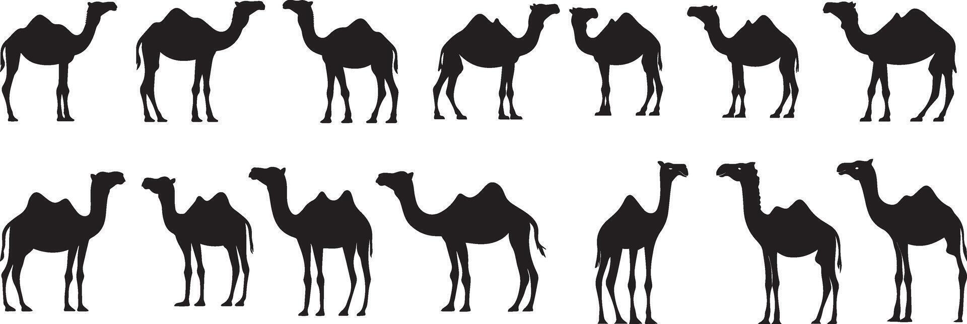 Camel Silhouettes A Collection of Elegant Black and White Camel Images for Design Projects vector