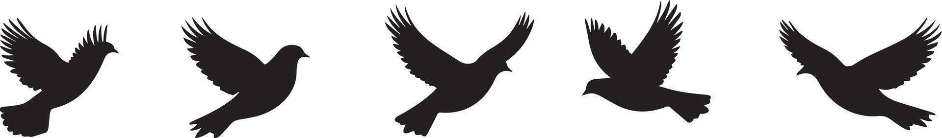 Five Silhouettes of Birds in Flight Elegant Avian Graphics vector