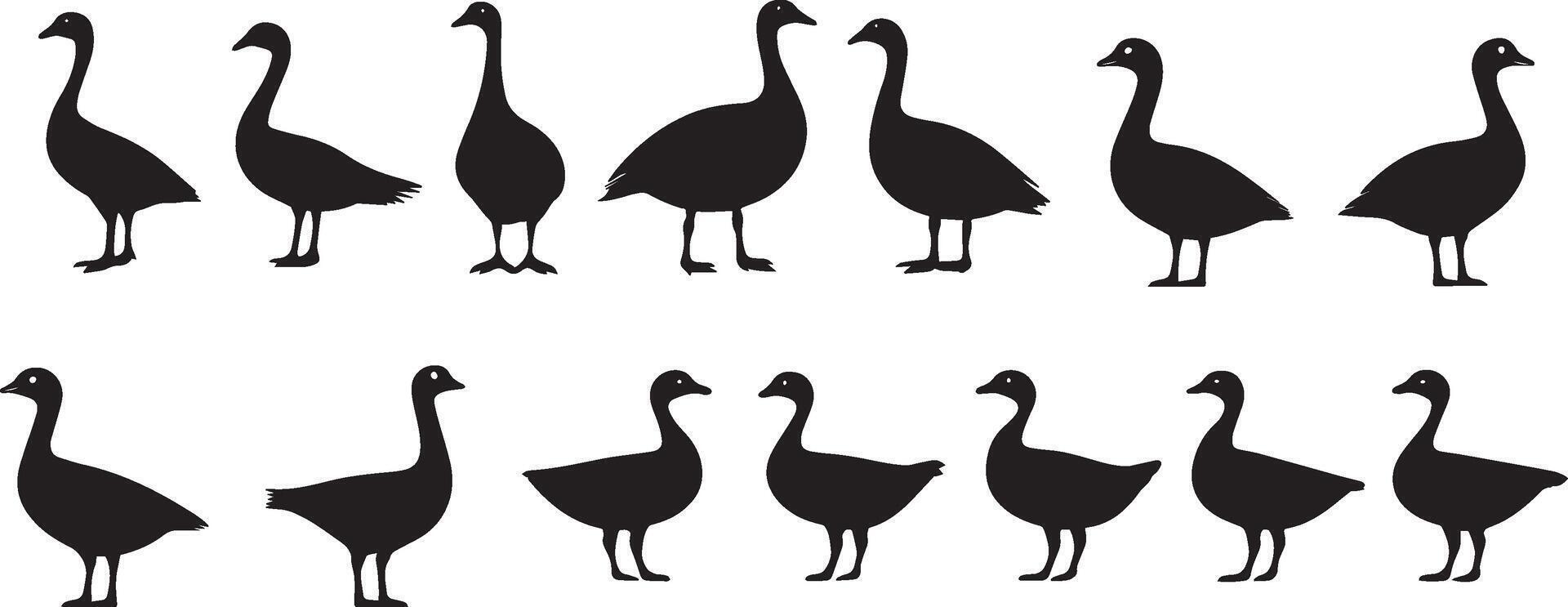 Goose Silhouettes Graphics of Birds vector