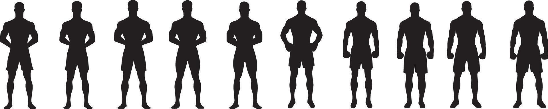 Silhouette Collection Muscular Men Poses Fitness Bodybuilding and MMA Graphics vector