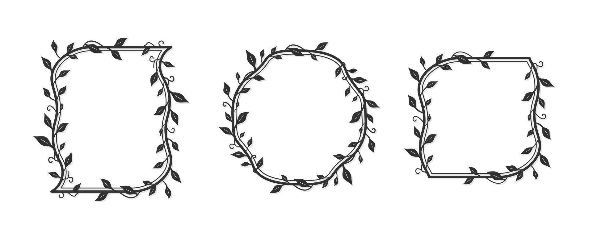 Abstract floral set of frames line art, antique decorative wedding frames, leaf and branch border, editable stroke illustration vector