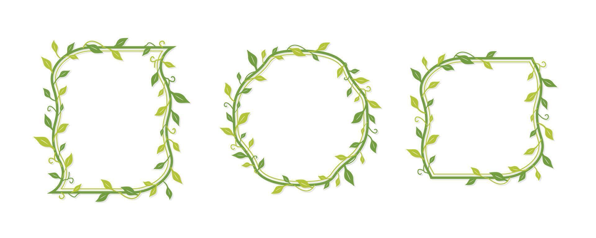 Green decorative vine frames vector