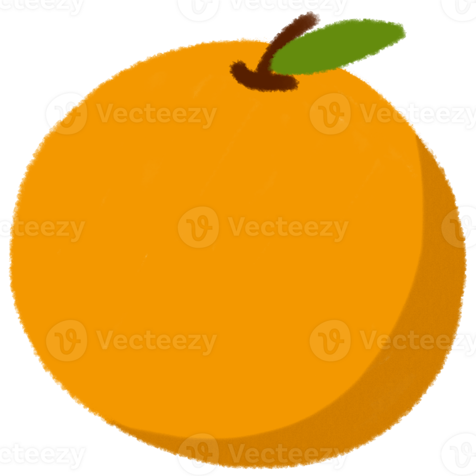 Orange fruit pastel style png