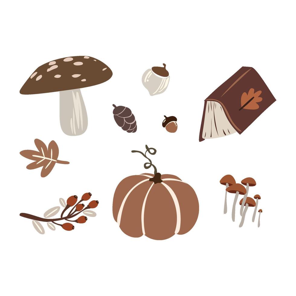 Autumn mushrooms, pumpkin, and leaves illustration vector