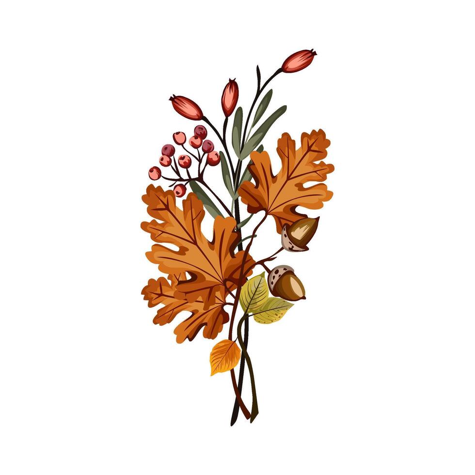 Autumn leaves and acorns bouquet vector