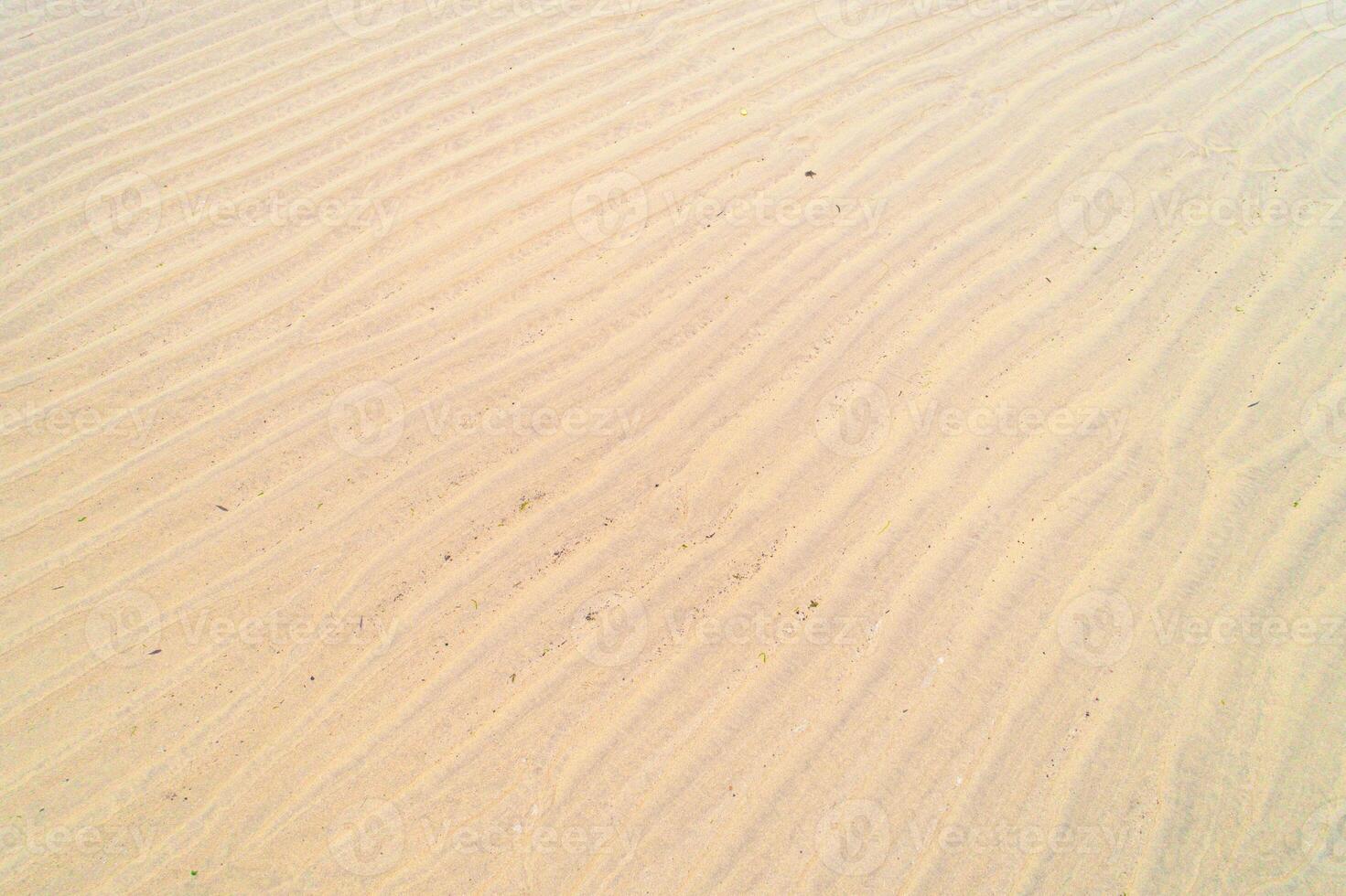 peaceful sandy ground with endless natural lines and subtle shadows photo