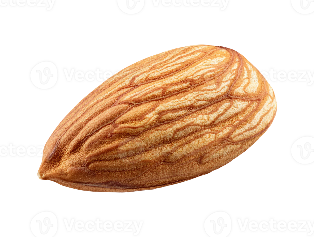 With Transparent background almond nut png