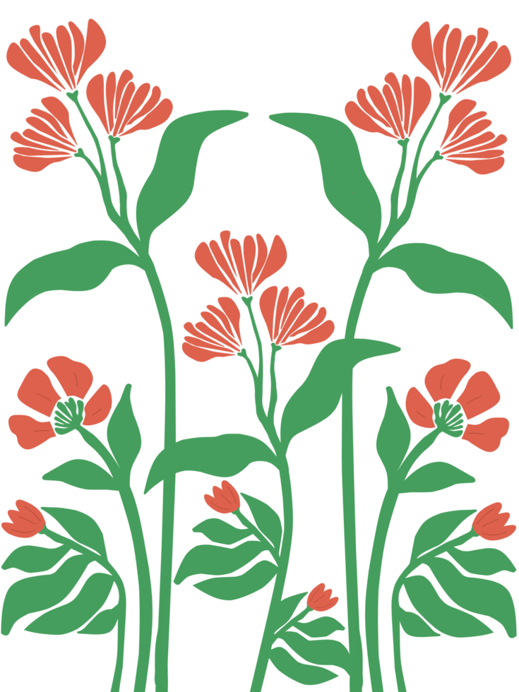 red poppies flowers with leaf png