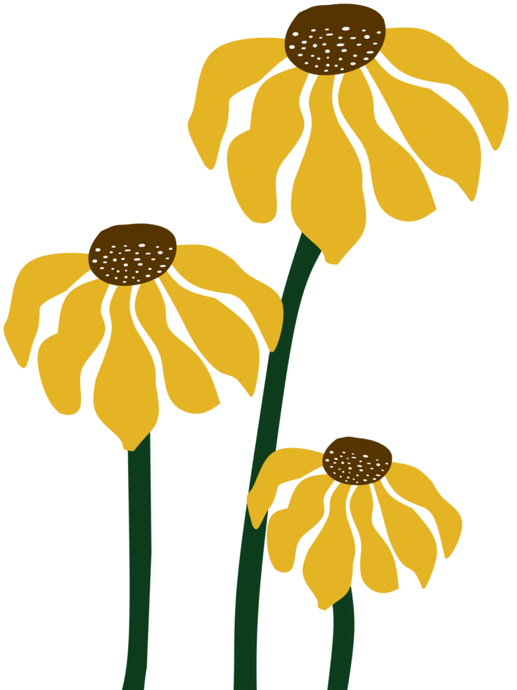 A floral illustration yellow flowers png