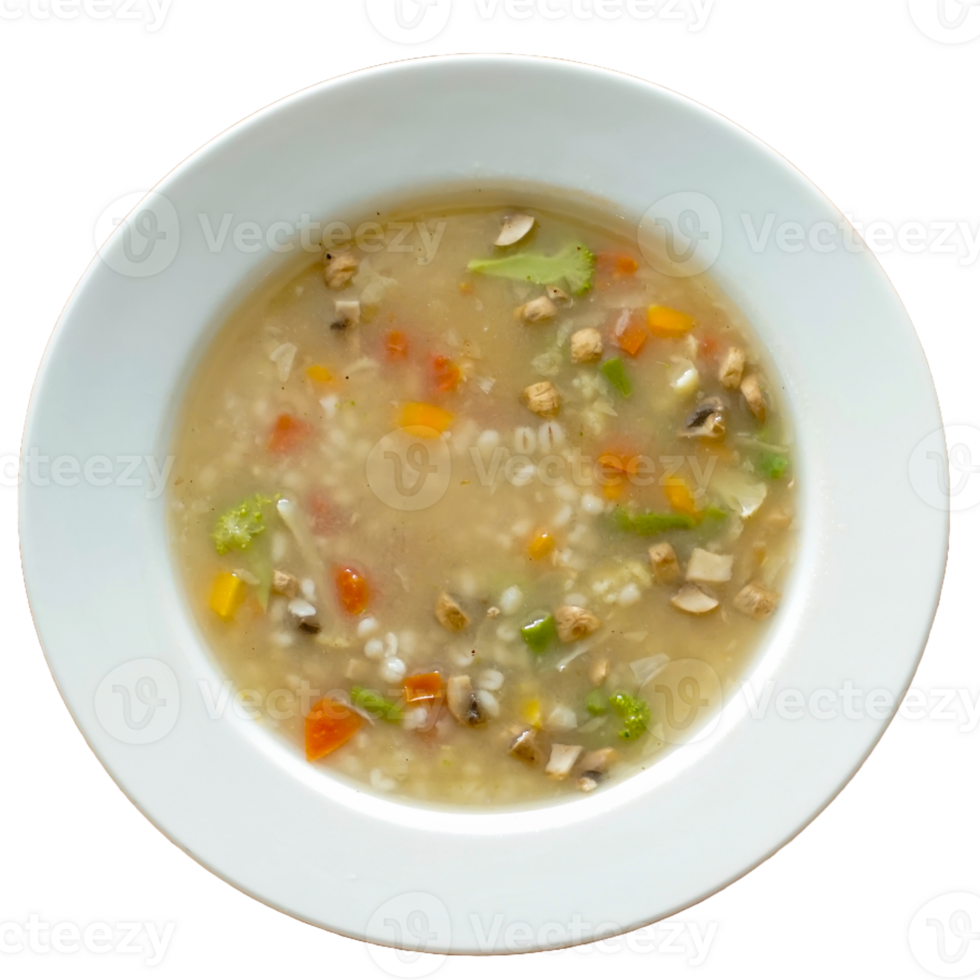 Bowl of vegetable soup with barley on white bowl png