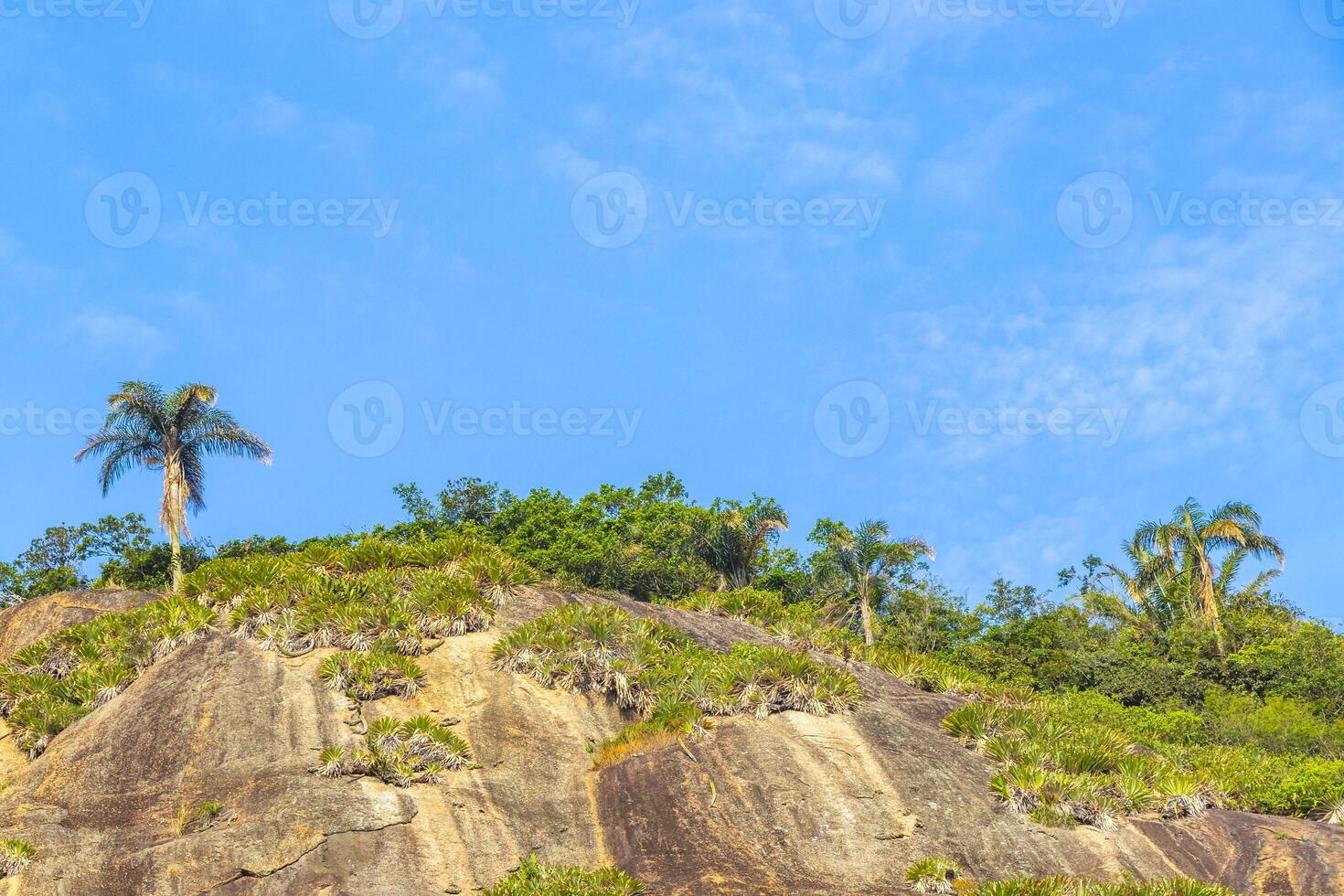 Rio de Janeiro Brazil Mountains Hills Rocks palms and Blue Sky. photo