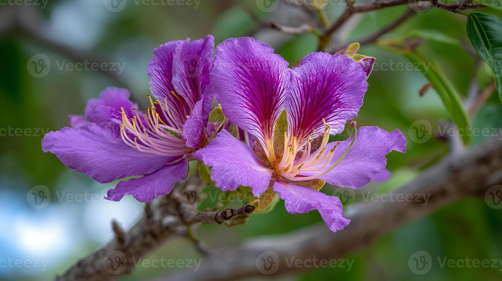 Radiant bloom image of flower on tree with glowing petals photo