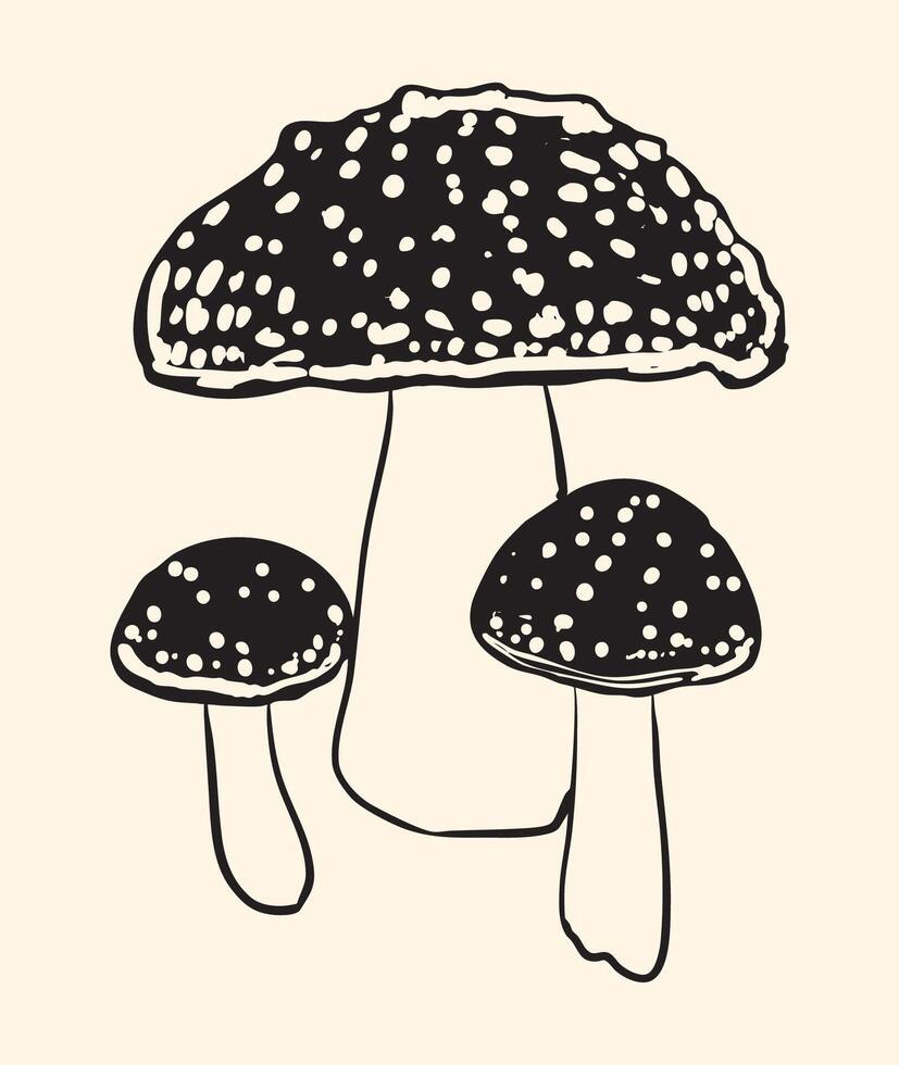 amanita muscaria mushroom black and white illustration vector