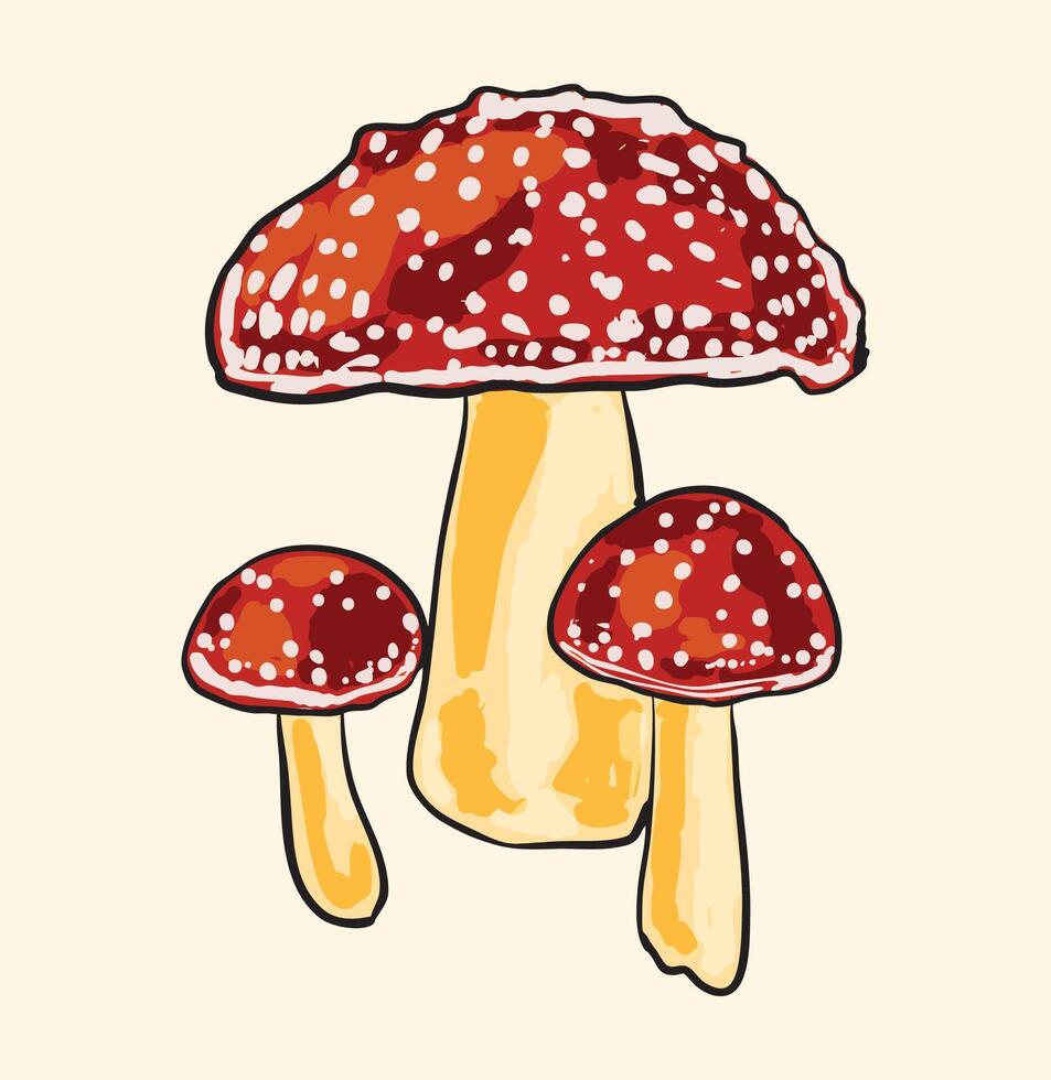 amanita muscaria mushroom illustration vector