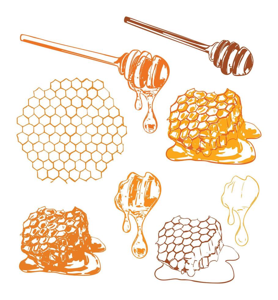 Dripping Honey and Honeycomb Set vector