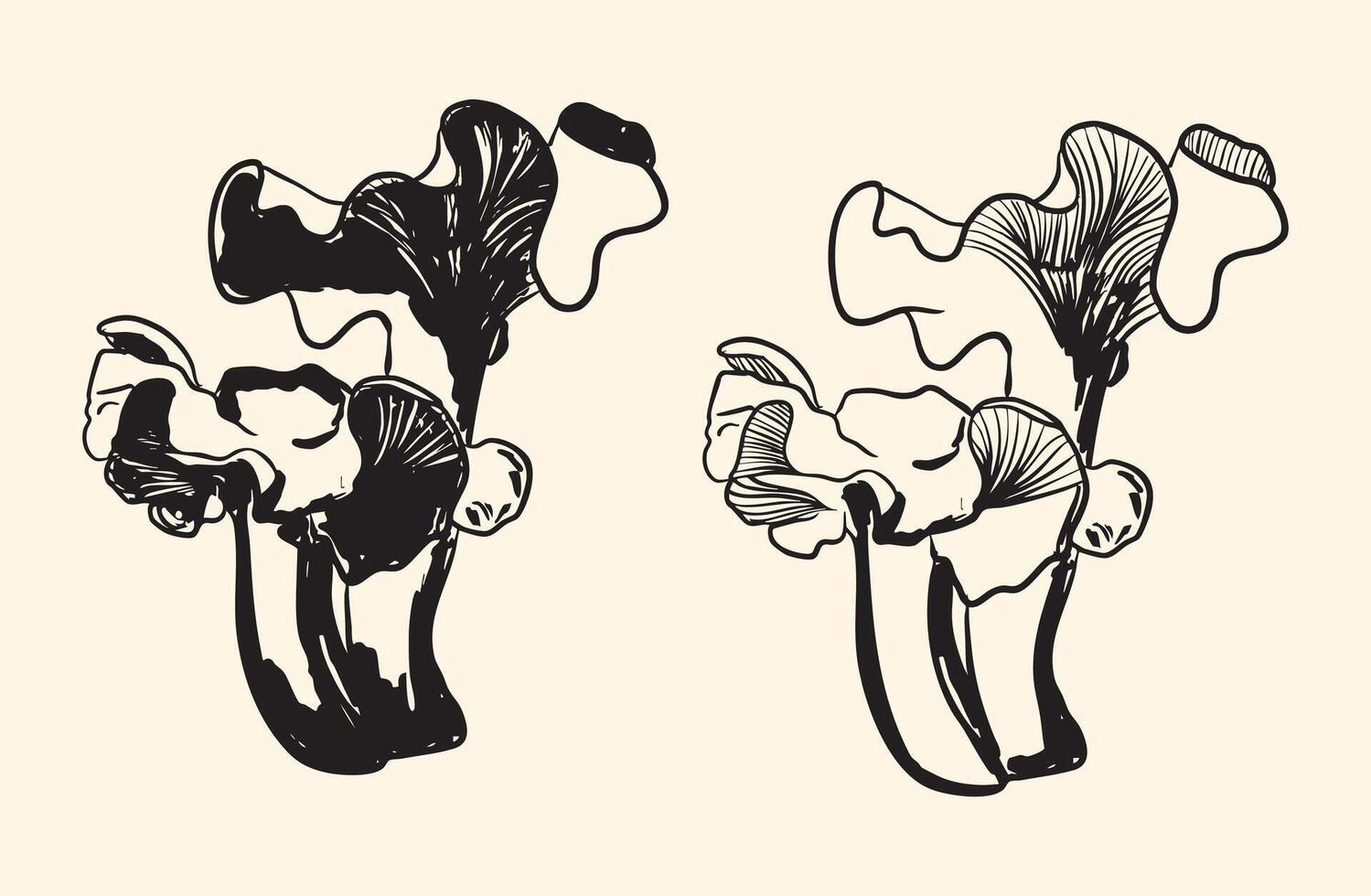 Black and White Oyster Mushroom Illustration vector