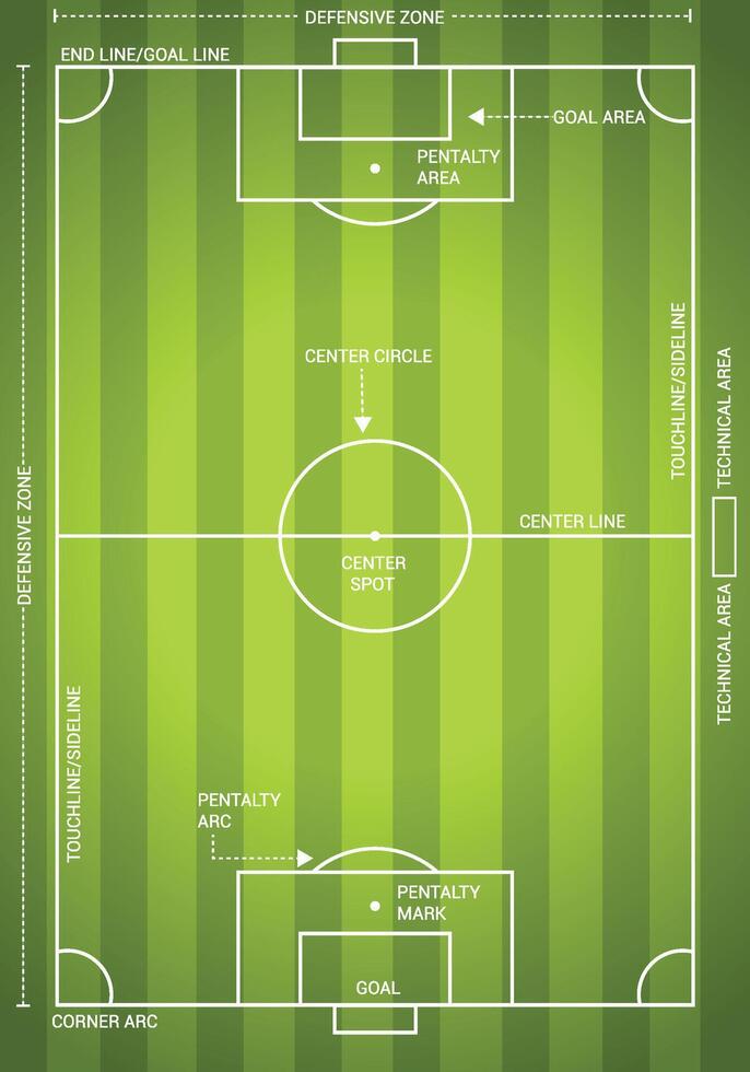Soccer field dimentions with beautiful and real design concept vector