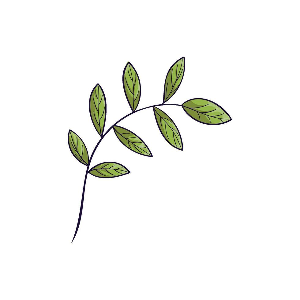 A shoot with green leaves. Doodle clipart, hand-drawn spring or summer illustration vector