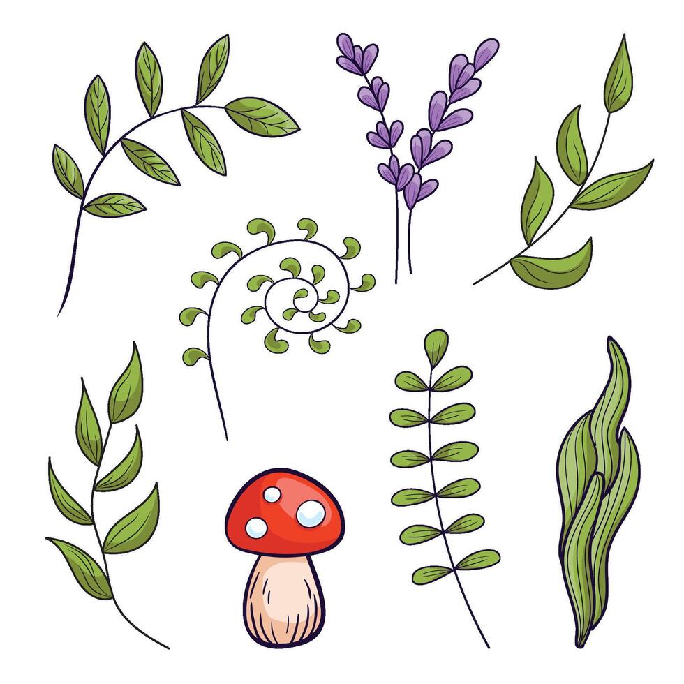 A set of botanical plant elements for design. Leaves, shoots, flowers, and Amanita mushrooms vector