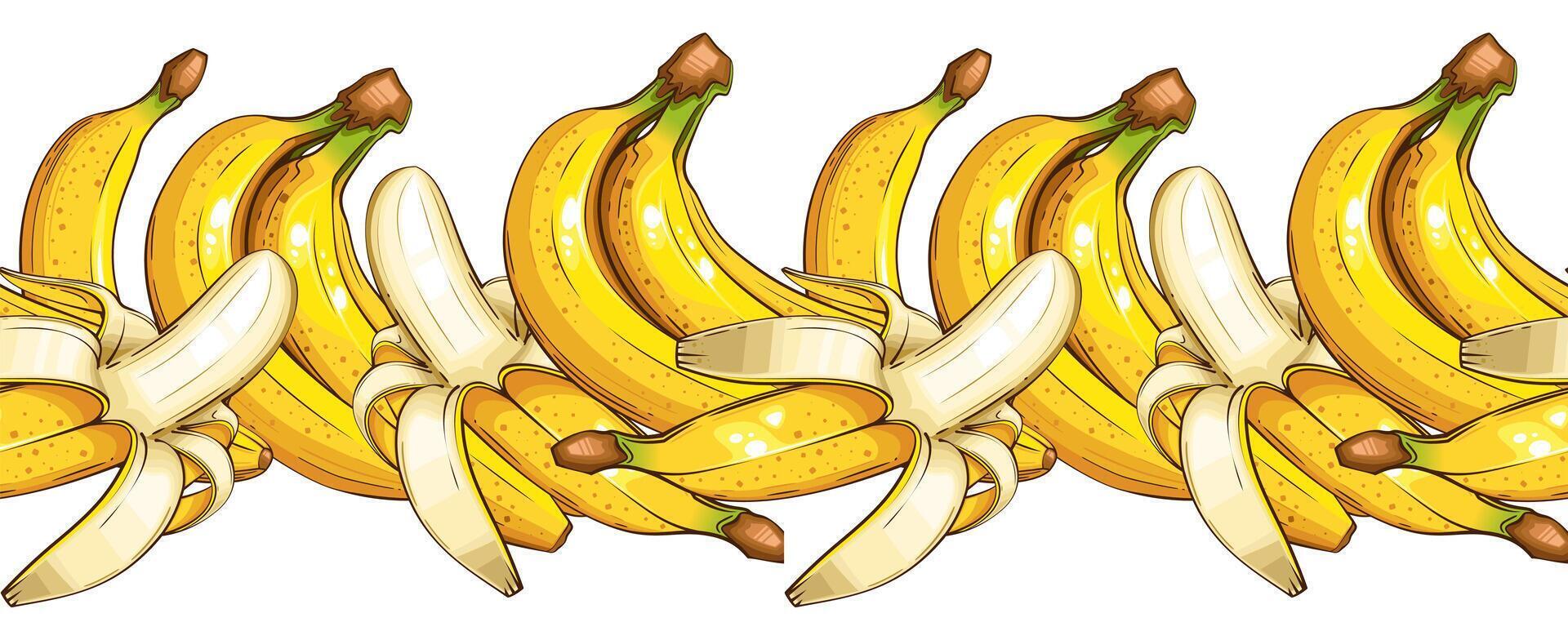 Banana Seamless. Seamless Garland with Fruits. Horizontal Border with fresh Fruits. Fruits Background Seamless. Healthy Food Concept. Organic Food Farmers Markets, Banner, Flyer, Wallpaper, textile vector