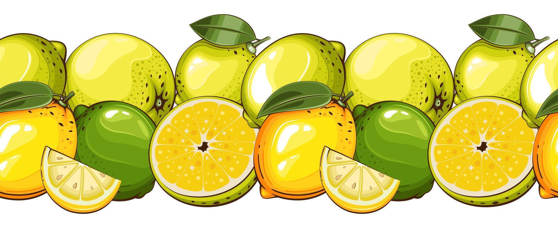 Citrus Seamless. Seamless Garland with Fruits. Horizontal Border with fresh Fruits. Fruits Background Seamless. Healthy Food Concept. Organic Food Farmers Markets, Banner, Flyer, Wallpaper, textile vector